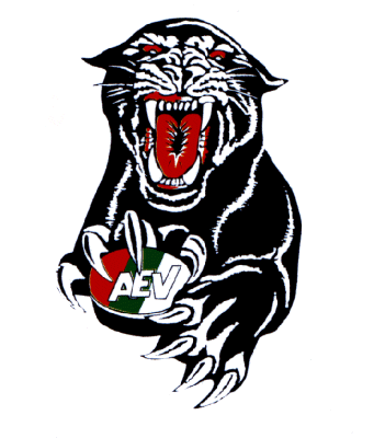 Von Steuben High School Boys Basketball Program