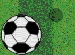 ball n grass