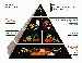 FOOD PYRAMID