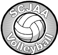 Volleyball2