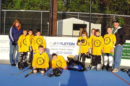 The Appleton Electric Penquins