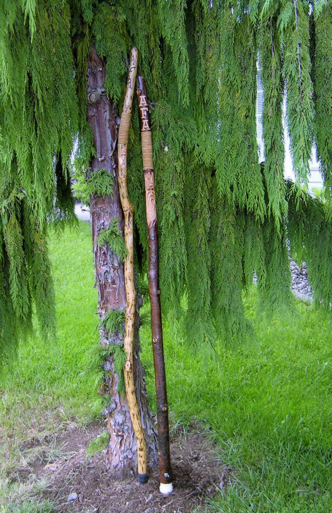 Waking Stick 2