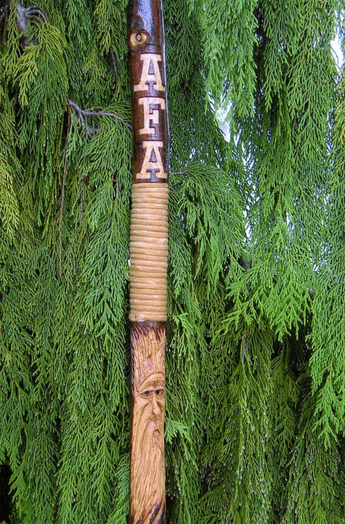 Waking Stick 1