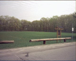 Field - High School White