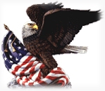 Eagle and Flag