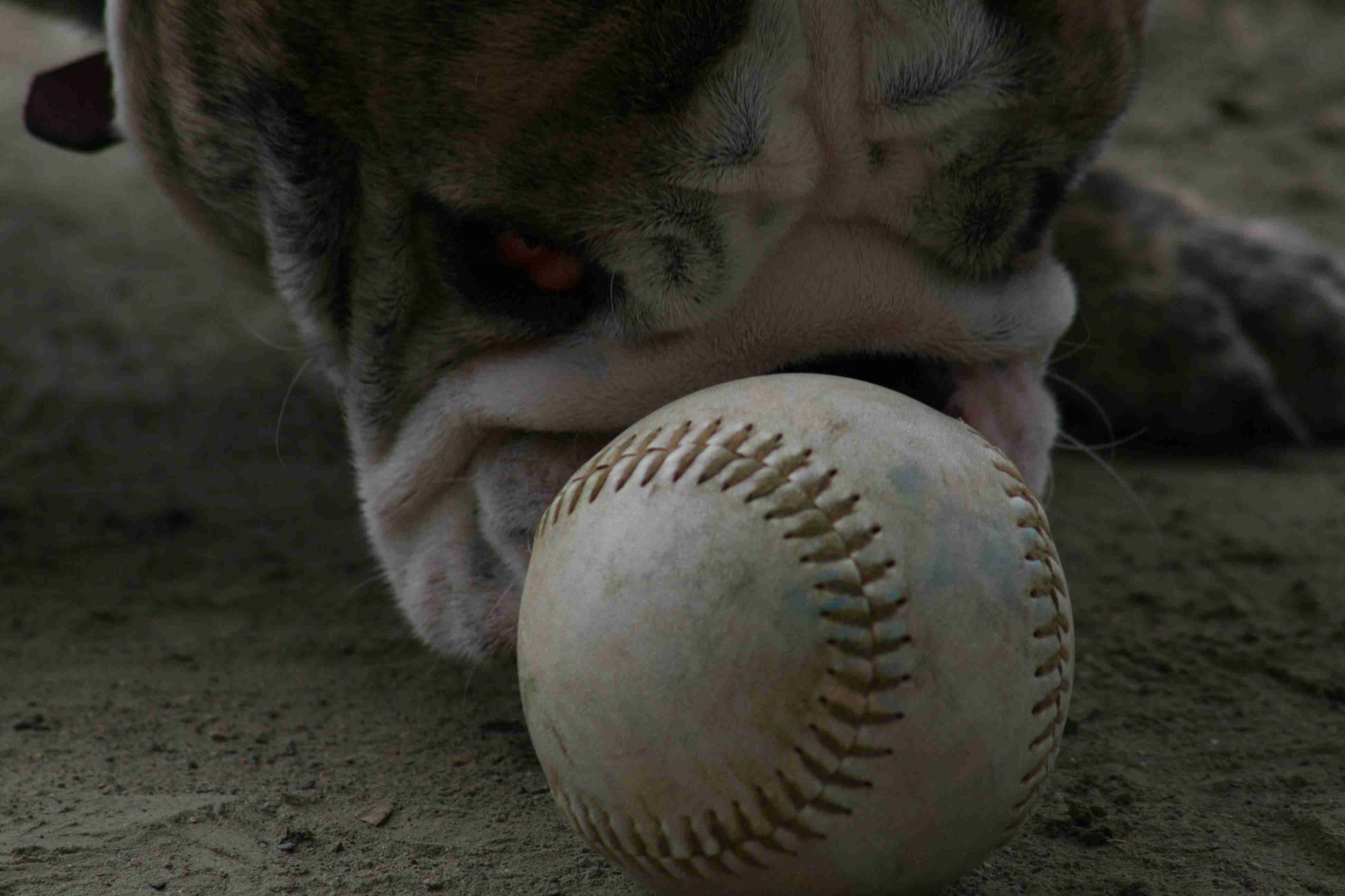 eye on the ball