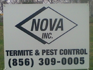 nova-2.jpg