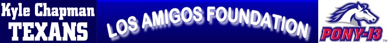 S12 Sponsor Texans13 LAF ws.jpg