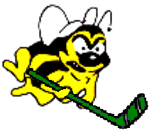 Medina Bees Hockey
