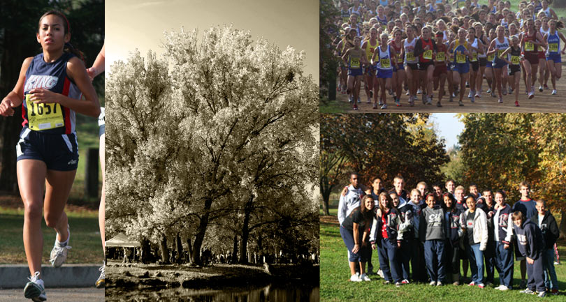 state 08 web collage