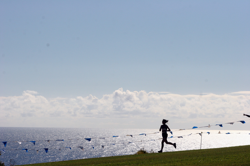 sillouette pepperdine