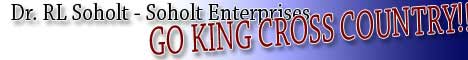 SOHOLT ENTERPRISES
