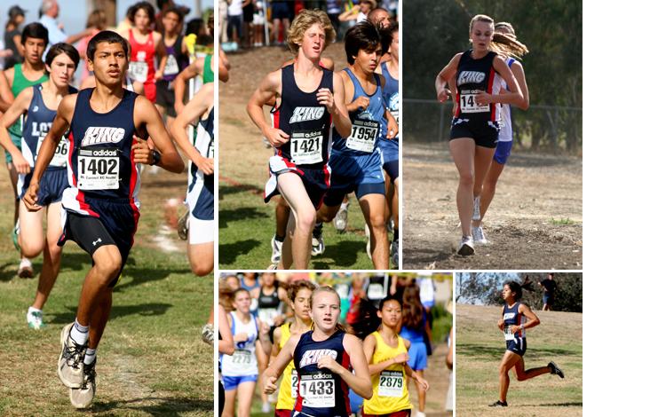 2008 mtc collage
