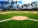 Fields of Dreams