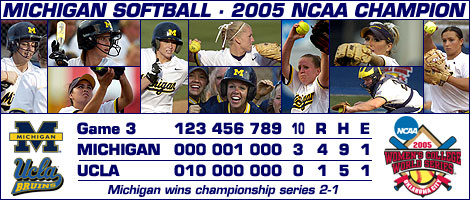 Michigan Logo