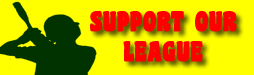 Support Our Little League