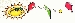 Sunrise Logo