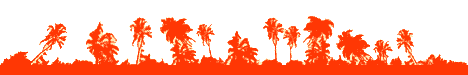 palmtrees.gif
