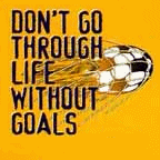 don't go through life without goals