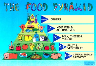 Food Pyramid Children