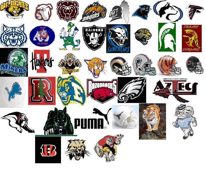 2009 AVYFL TEAM LOGOS