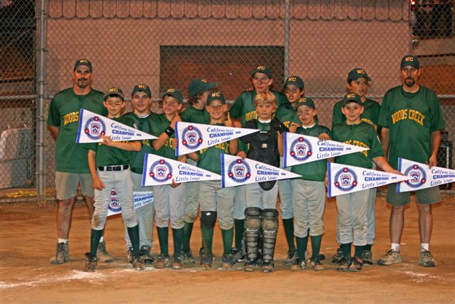 2008 LL CHAMPION