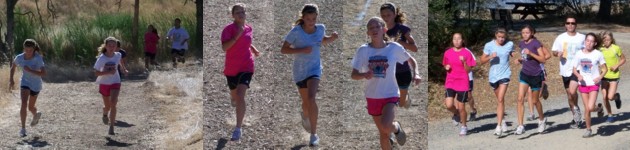 Collage Willow Hill Practice