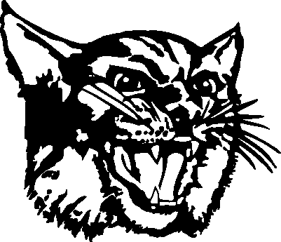 ECHHS Wildcat