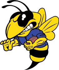 Salt Lake Swarm