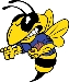 Salt Lake Swarm