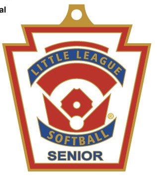 Senior Softball-VA