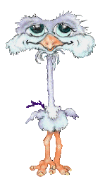 Bird Loosing Head