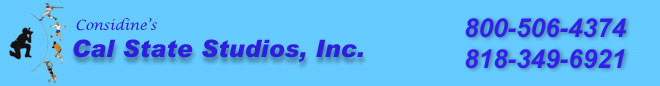 website logo