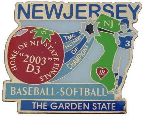 D3 pin