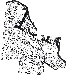 CVA New Boundaries