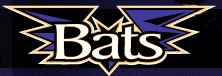 Team Logo - AA Bats