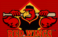 Team Logo - AA Redwings