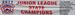 JG 2011 NYS Champ banner.jpg