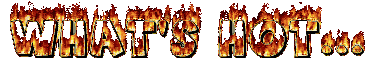Whats Hot