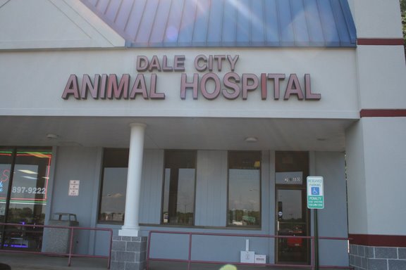 Dale City Animal Hospital