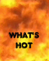 Whats Hot