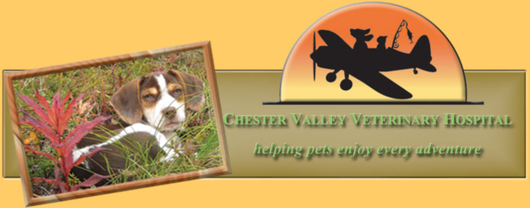 CHESTER VALLEY VETERINARY HOSPITAL