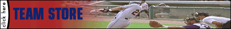 baseball banner