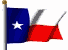 TEXAS FLAG