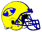 PPT Helmet