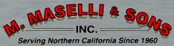 Maselli company logo