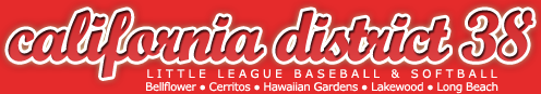 New Web Site