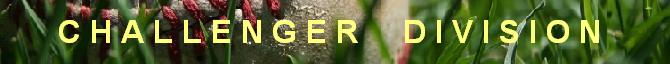 GRASS BANNER CHALLENGER
