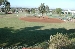 FIELD