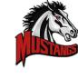 New Lenox Mustangs Logo